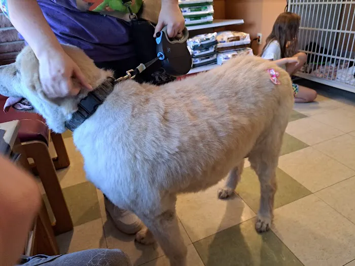 Ranch Acres Veterinary Hospital 9