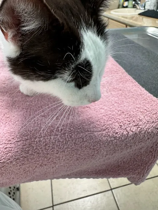 Elm Creek Animal Hospital 1