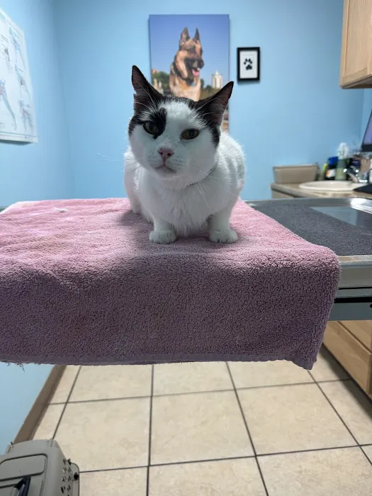 Elm Creek Animal Hospital 4