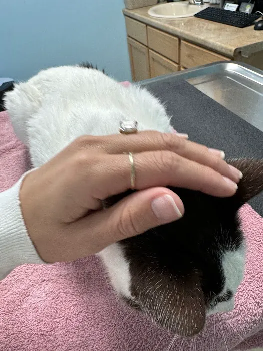 Elm Creek Animal Hospital 3