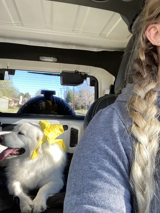 Elm Creek Animal Hospital 5