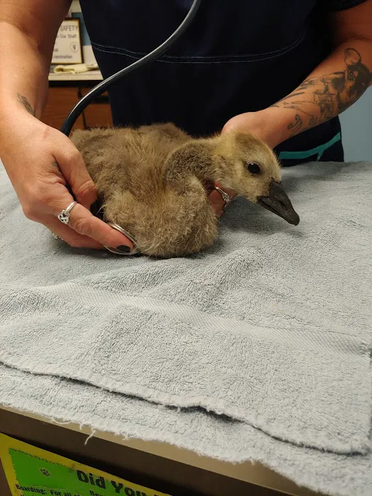 Best Friends Veterinary Hospital 9