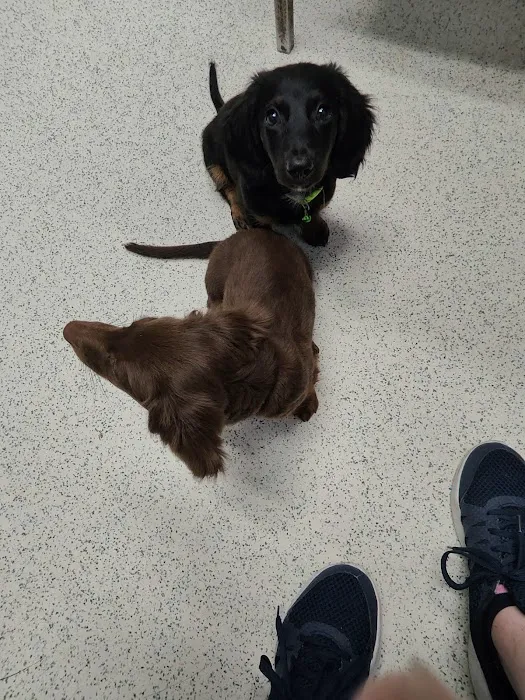 Best Friends Veterinary Hospital 8