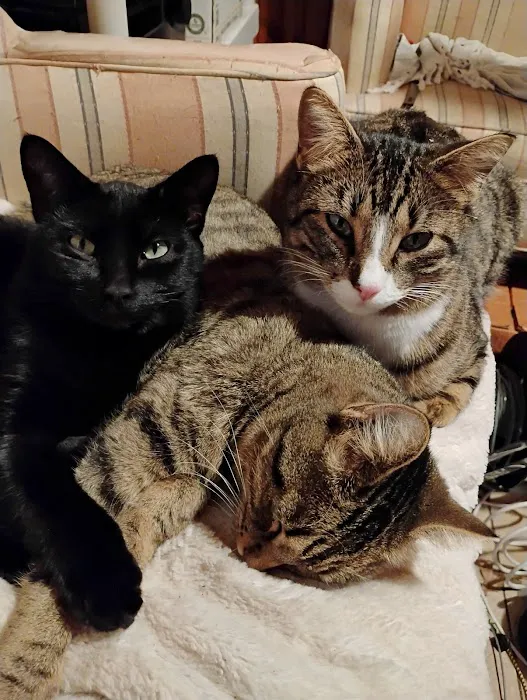 Best Friends Veterinary Hospital 10