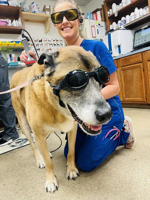 Appelbaum Animal Clinic 9
