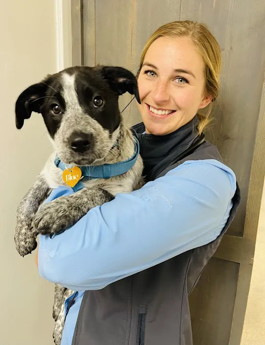 Appelbaum Animal Clinic 2