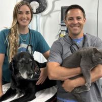 Tulsa Animal Urgent Care ico