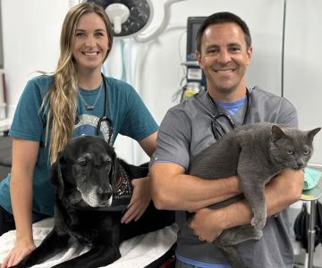Tulsa Animal Urgent Care