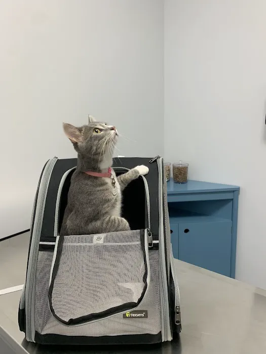 Tulsa Animal Urgent Care 4