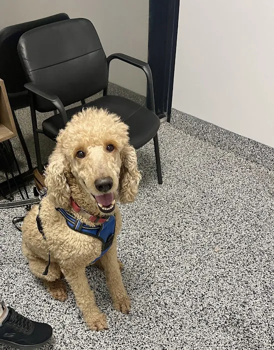 Tulsa Animal Urgent Care 8