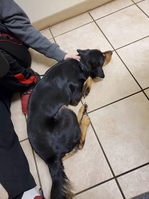VCA Woodland Broken Arrow Animal Hospital 4