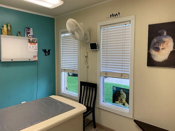 VCA Woodland Broken Arrow Animal Hospital 9