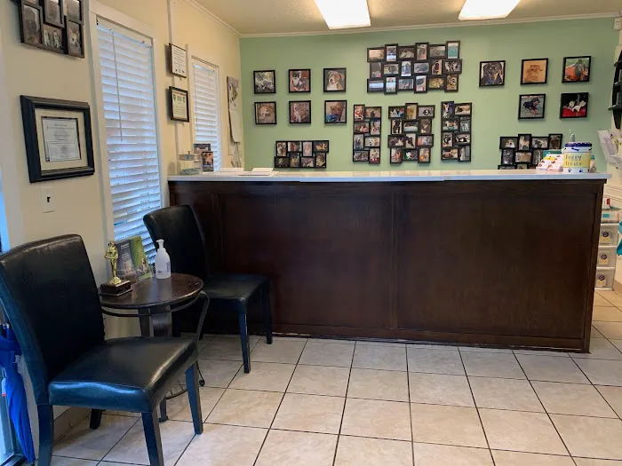 VCA Woodland Broken Arrow Animal Hospital 7