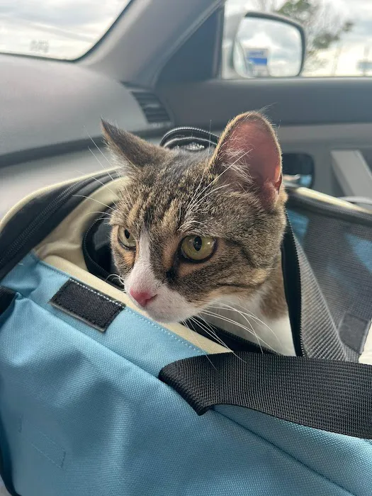 Banfield Pet Hospital 3