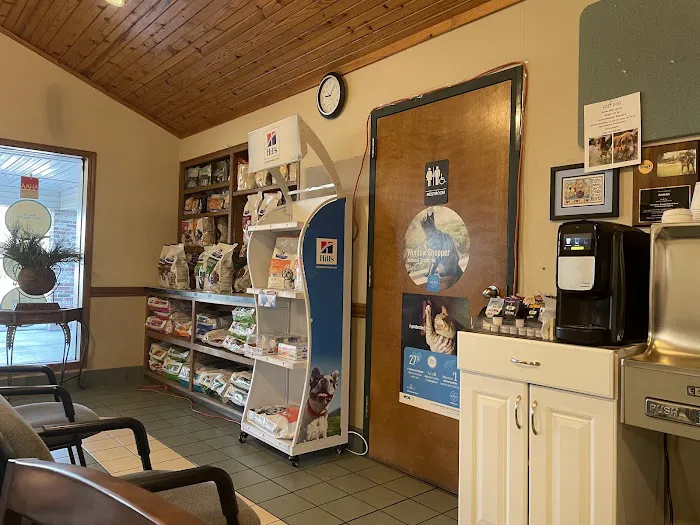 VCA Woodland East Animal Hospital 3