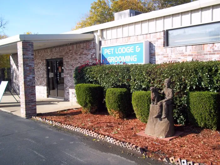 VCA Woodland East Animal Hospital 6