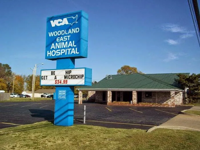 VCA Woodland East Animal Hospital 5