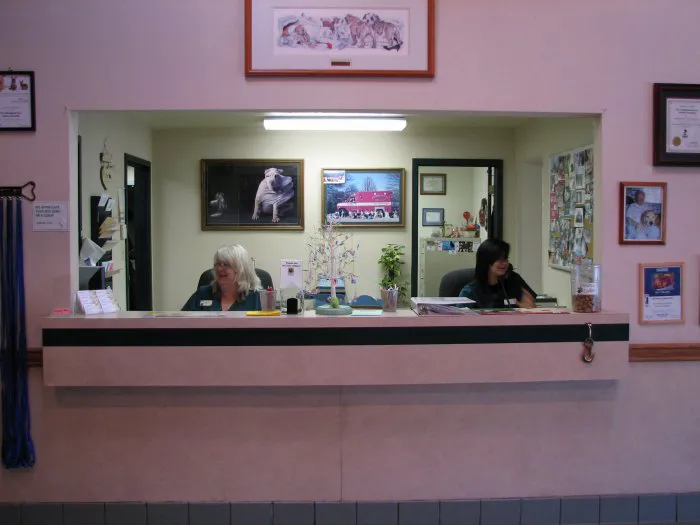VCA Woodland East Animal Hospital 8