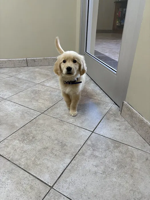 River Trail Animal Hospital and Pet Lodge - Bixby 5