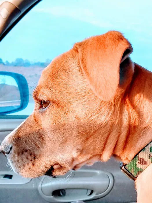 River Trail Animal Hospital and Pet Lodge - Bixby 2