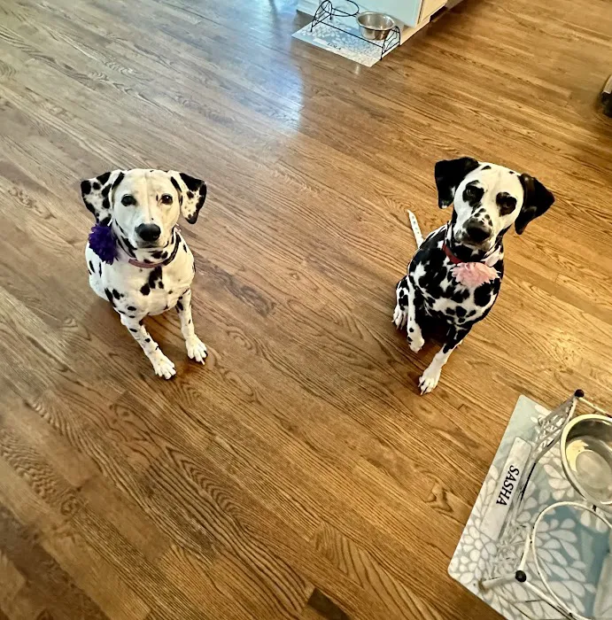 River Trail Animal Hospital and Pet Lodge - Bixby 6