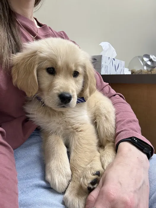 River Trail Animal Hospital and Pet Lodge - Bixby 3