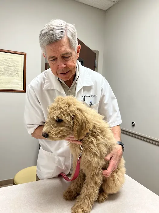 Care Animal Hospital 9