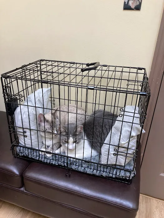 Kindness Animal Hospital 3