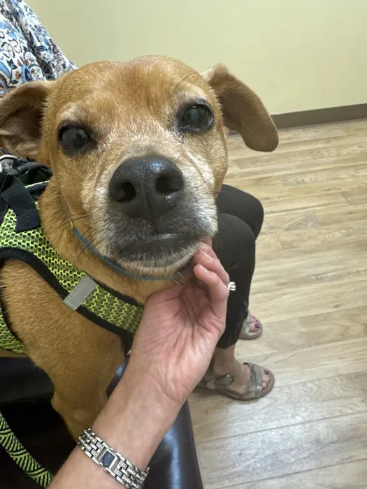 Kindness Animal Hospital 10