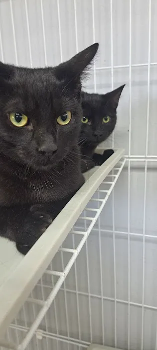 Horizon Animal Hospital 5