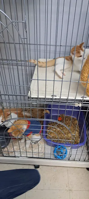 Horizon Animal Hospital 3