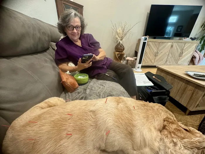 Acupuncture For Pets 4