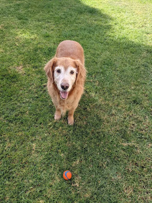 Mission Oaks Veterinary Clinic 3