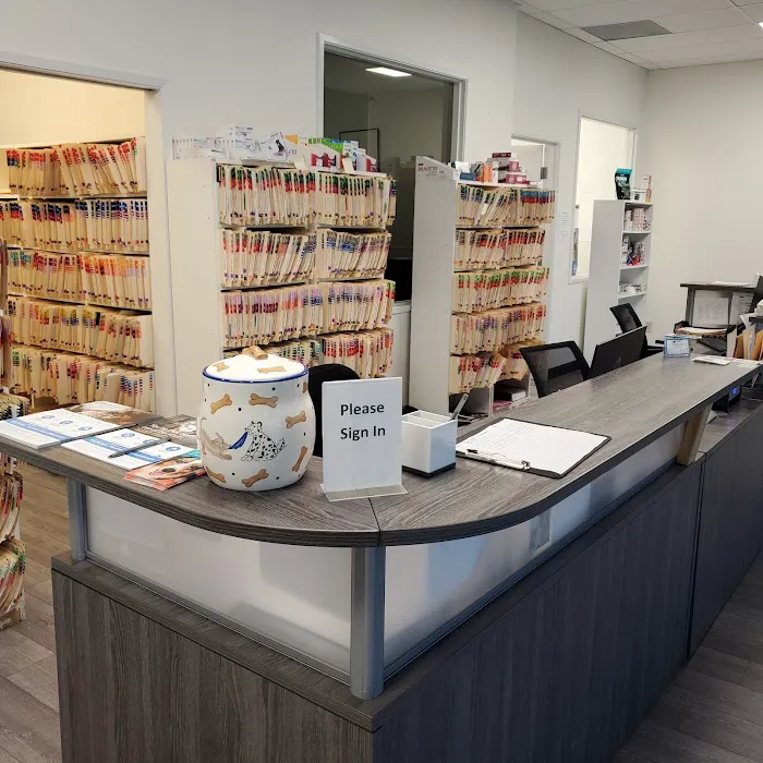 Pet Headquarters 6