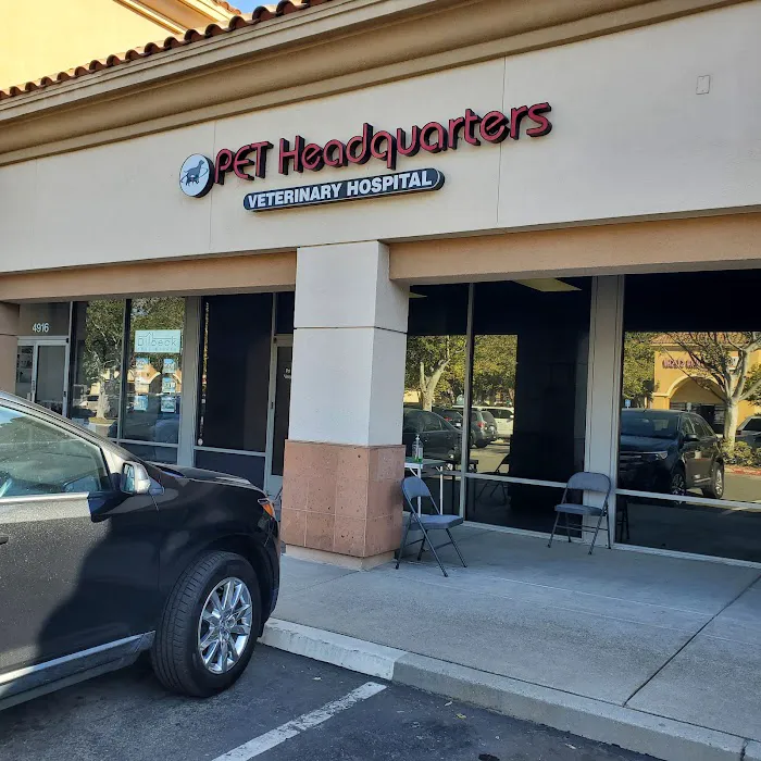 Pet Headquarters 10