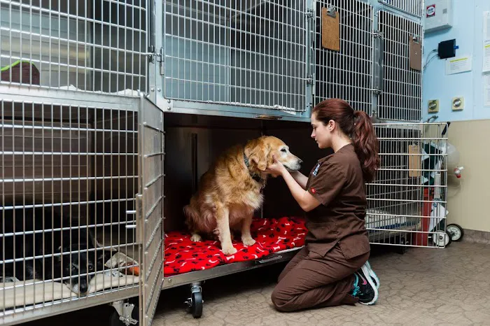 Moorpark Veterinary Hospital 4