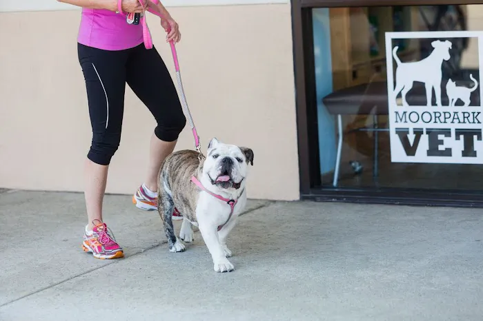 Moorpark Veterinary Hospital 9