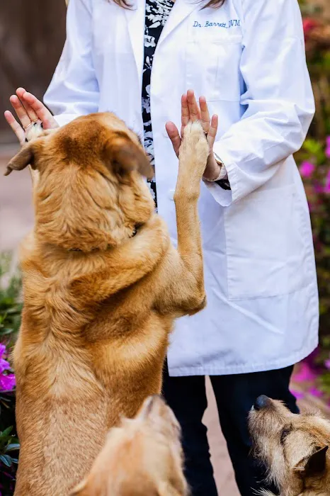 Moorpark Veterinary Hospital 10