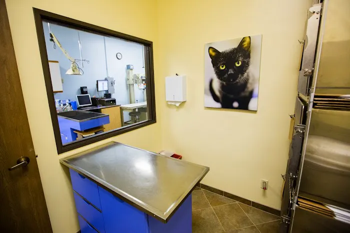 Moorpark Veterinary Hospital 8
