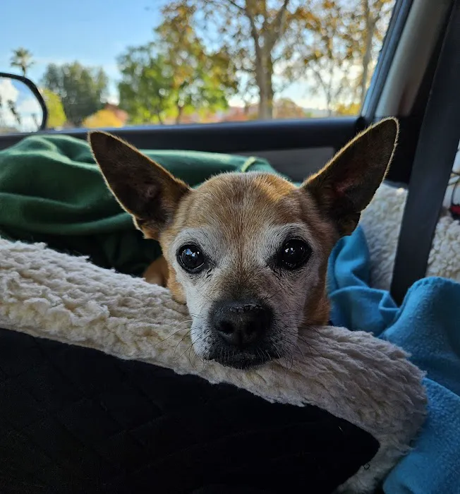 Arroyo Vista Veterinary Hospital 8