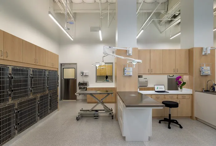 Wood Ranch Animal Hospital 5