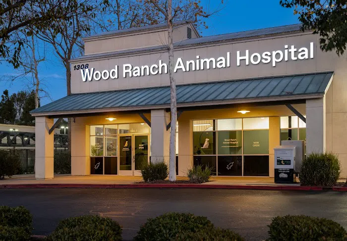 Wood Ranch Animal Hospital 6