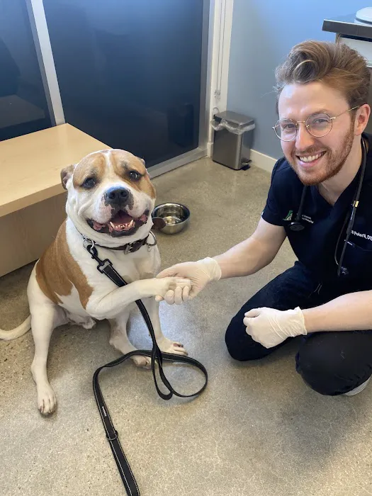 Wood Ranch Animal Hospital 4