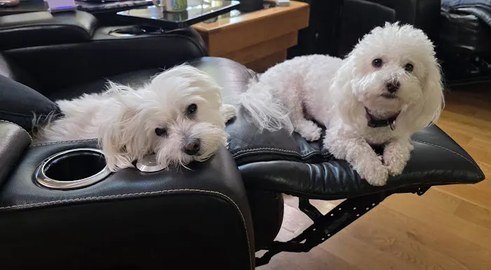 Wood Ranch Animal Hospital 2