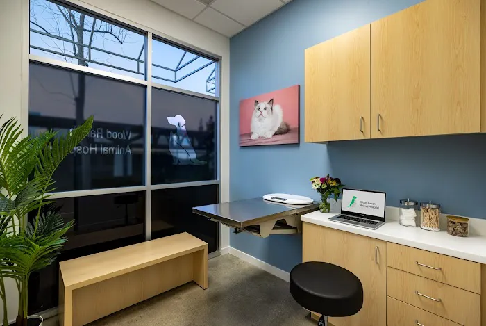 Wood Ranch Animal Hospital 3