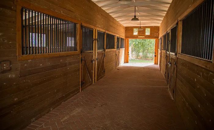 Bradley D Perdue Equine 9