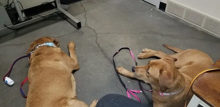 Clark Veterinary Hospital 1