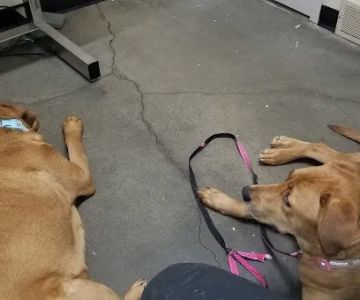 Clark Veterinary Hospital