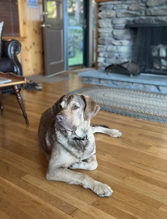 Clark Veterinary Hospital 2