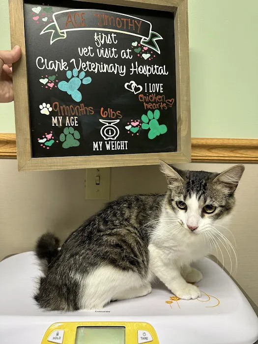 Clark Veterinary Hospital 3